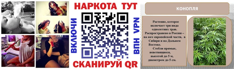Продажа наркотиков Луза Бошки Шишки  Alpha PVP  НБОМе  Меф 