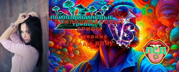 mix Вяземский