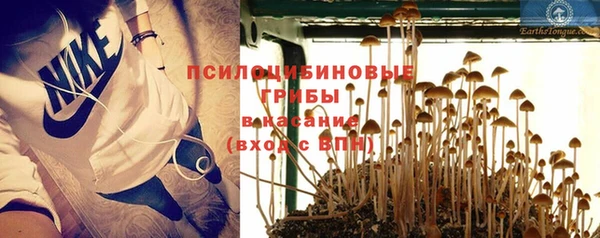 твердый Кедровый