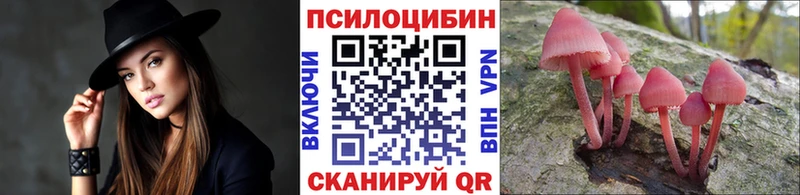 Псилоцибиновые грибы прущие грибы  Луза 